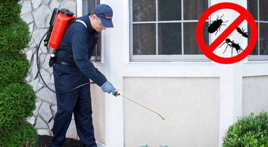Şehitkamil Dezenfeksiyon böcek ilaçlama ve haşere kontrolü — ilaclama-tr.com